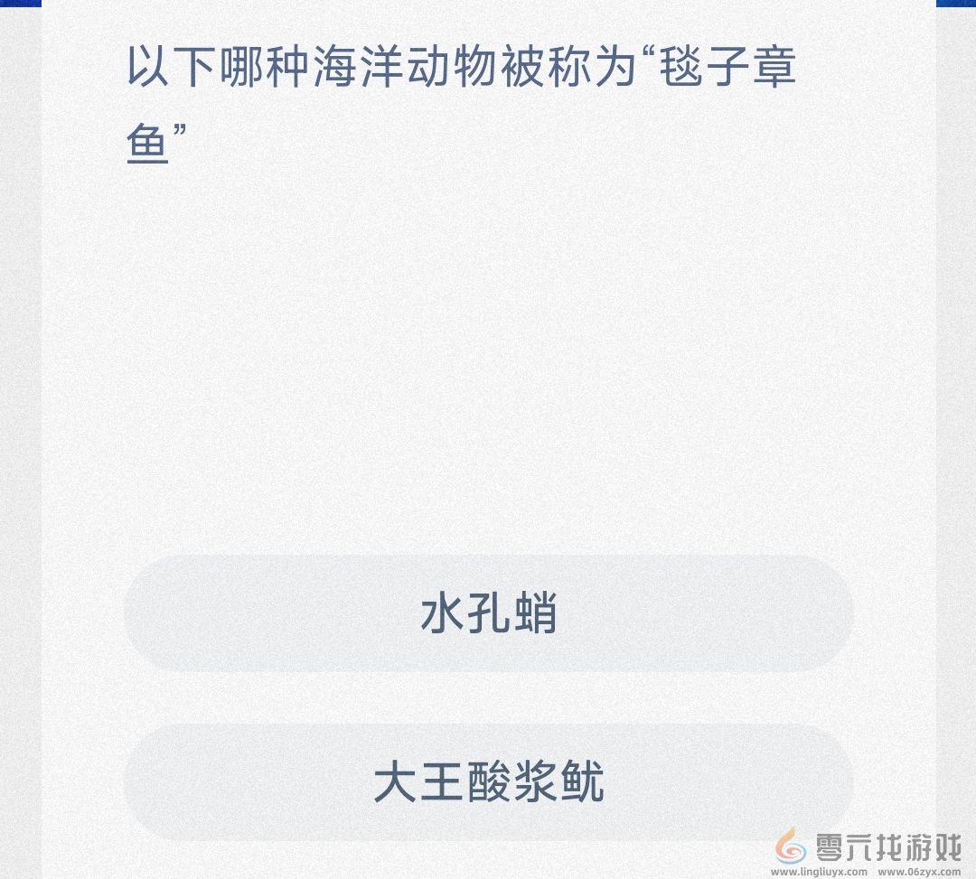 以下哪种海洋动物被称为毯子章鱼(图2)